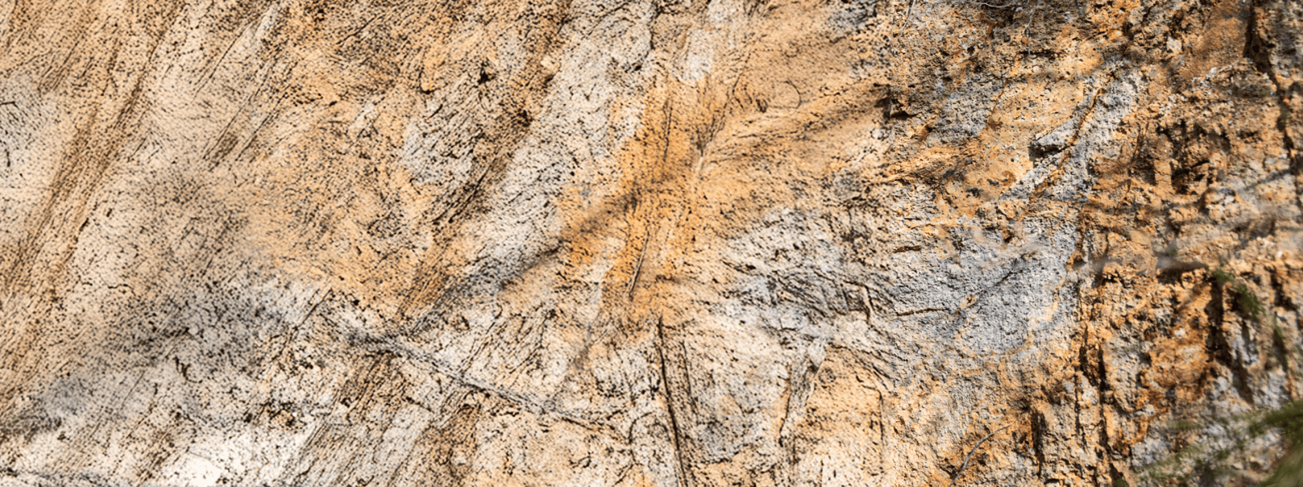 画像に alt 属性が指定されていません。ファイル名: Mask-group-31-1.png